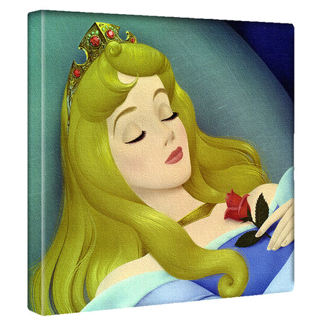 眠れる森の美女のファブリックボード　オーロラ姫　マレフィセント dsn-0263 - ArtDeli. アートパネル専門店