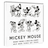 ミッキーマウスのファブリックパネル インテリア 雑貨 アート モノクロ dsny-1710-01