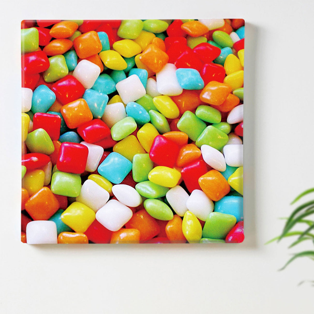 Jellybeans interior accessories photo wall hanging pho-0001