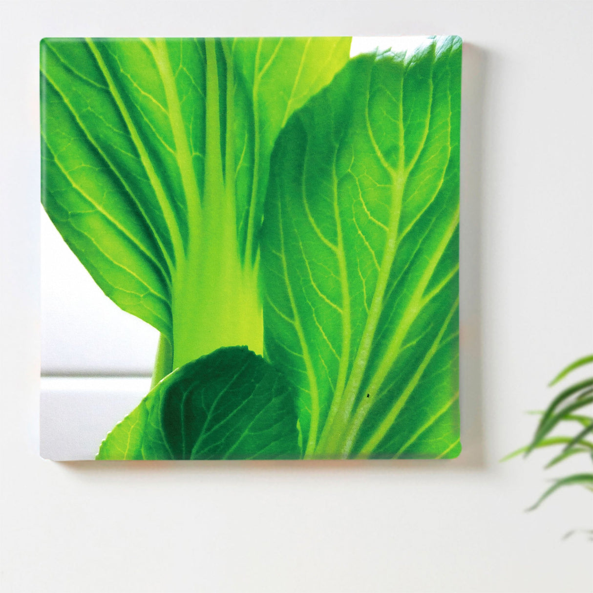 Vegetable-themed interior accessories, art, miscellaneous goods pho-0002