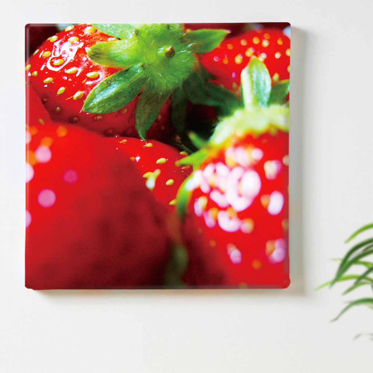 Strawberry interior accessories Wall decor Interior pho-0005