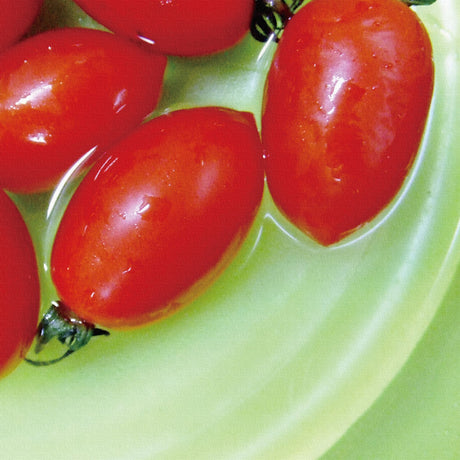 トマトのインテリア小物　ポスター　アート pho-0006