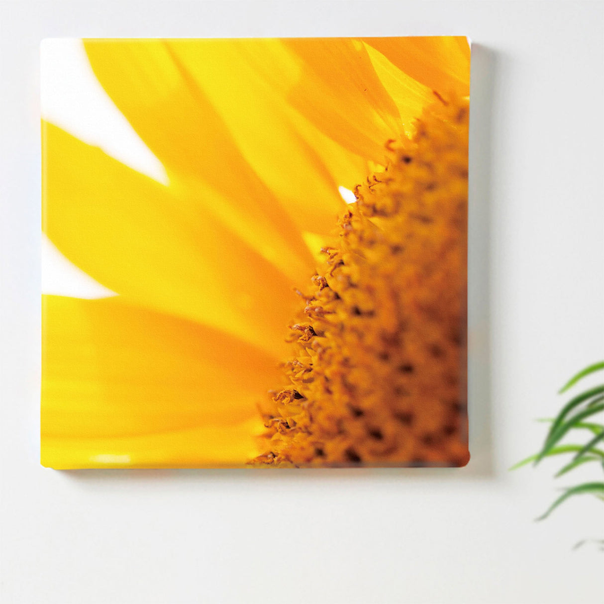 Sunflower fabric panel art miscellaneous goods pho-0011