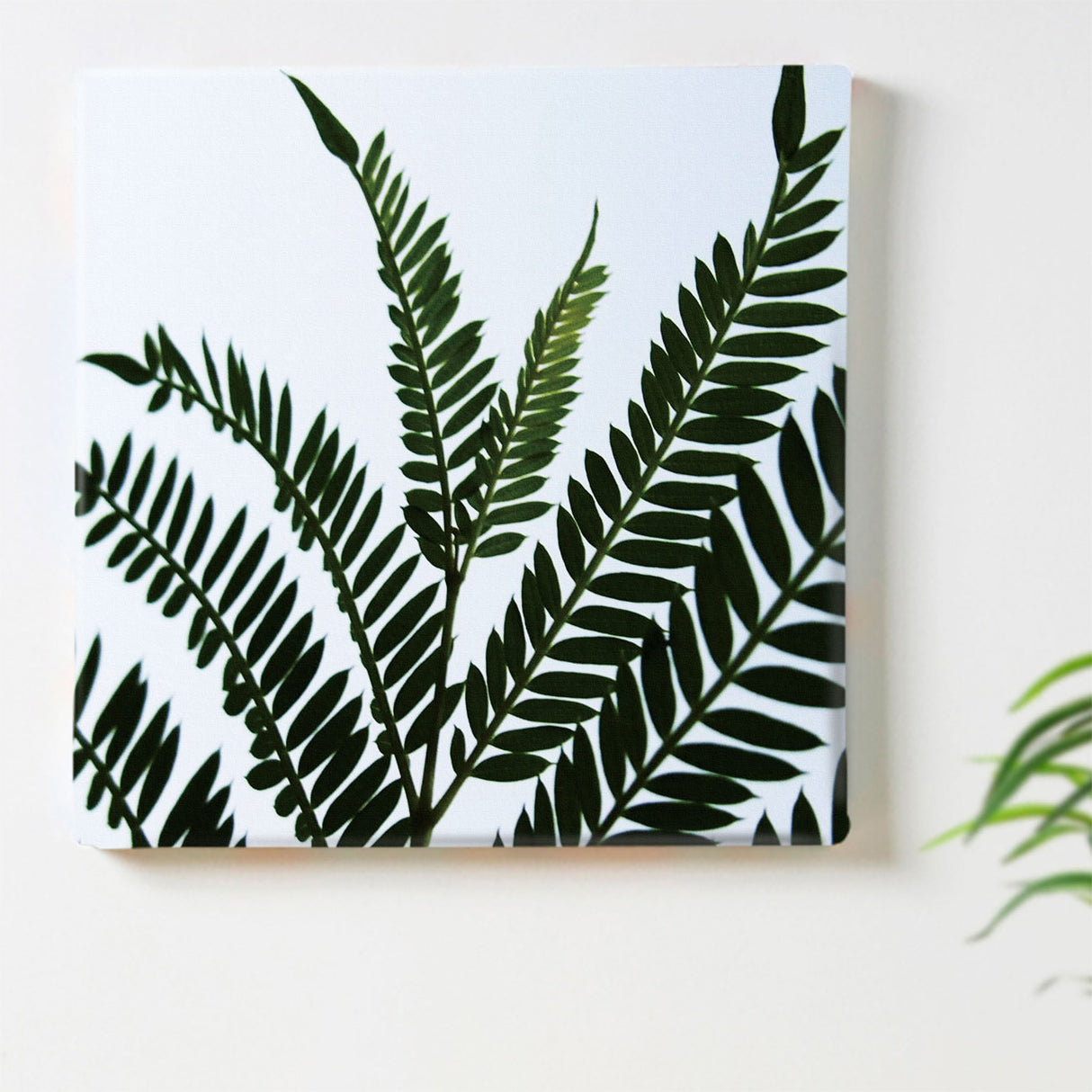 Plant interior accessories Interior art pho-0016