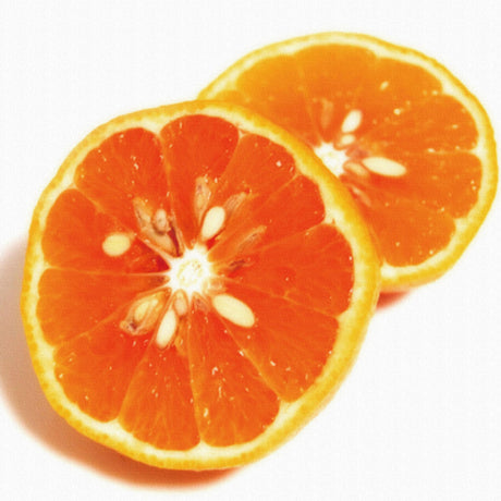 オレンジのインテリア小物　アート　雑貨 pho-0020