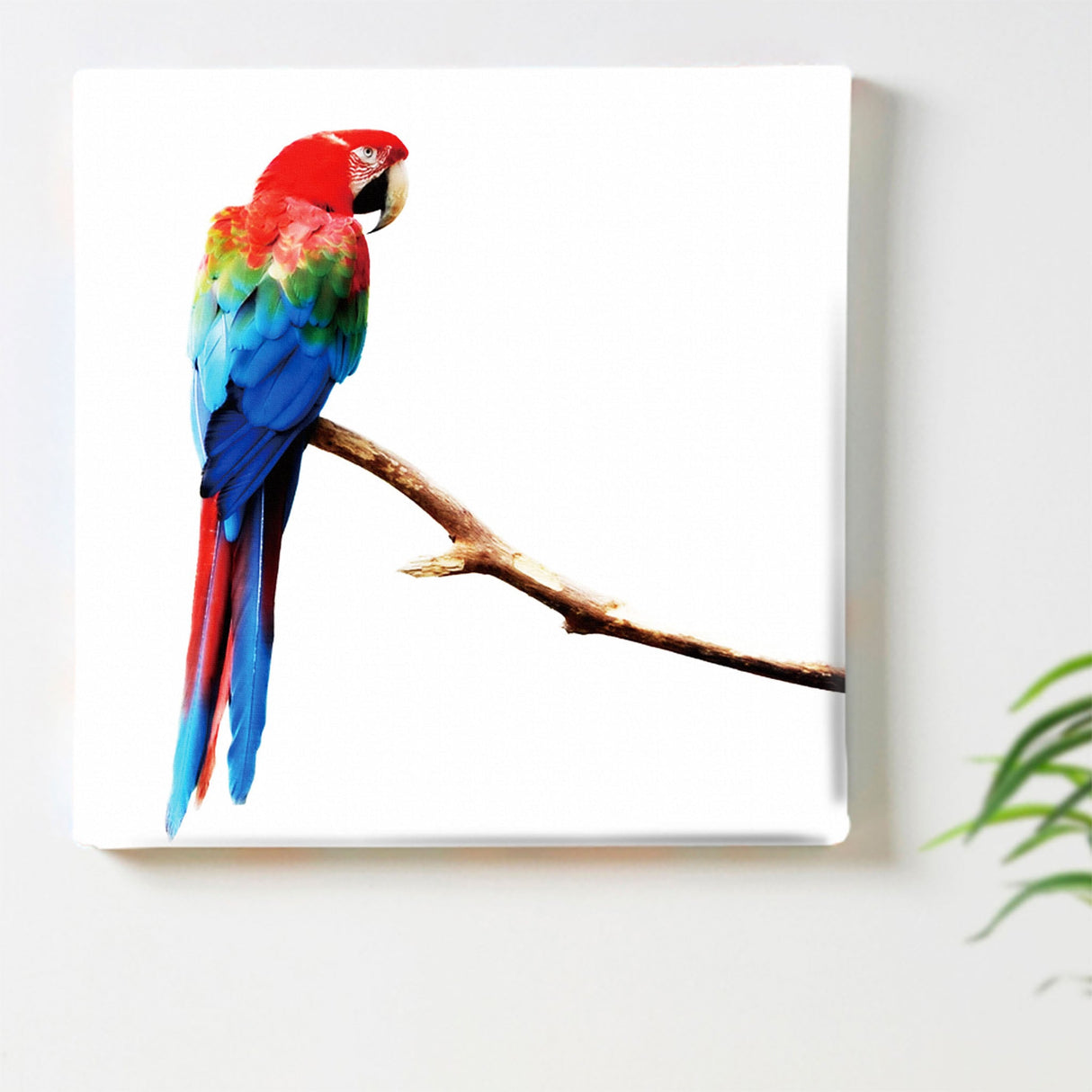 Fabric panel for wall decoration | Parakeet interior art pho-0046