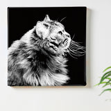 Fabric panel for wall decoration | Cat interior art pho-0055