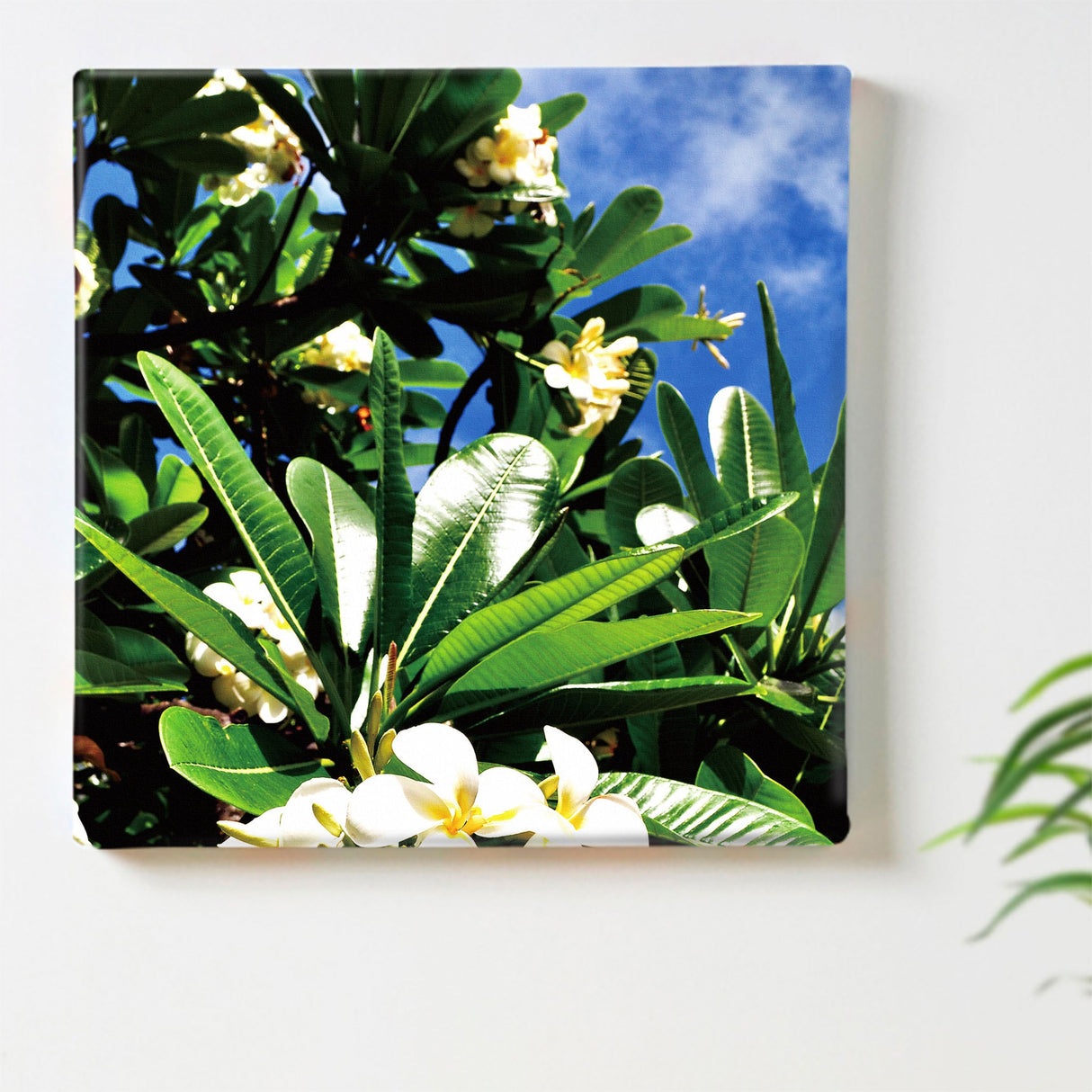 Floral motif interior accessories, art and miscellaneous goods pho-0059