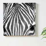 Zebra-themed fabric panel wall art pho-0060