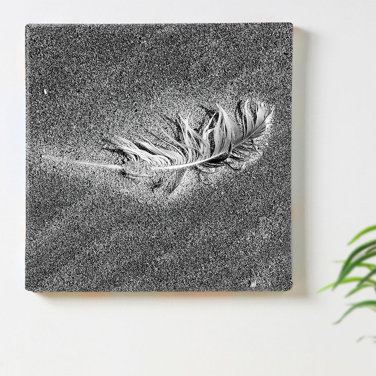 Feather motif interior accessory photo wall hanging pho-0066