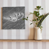 Feather motif interior accessory photo wall hanging pho-0066