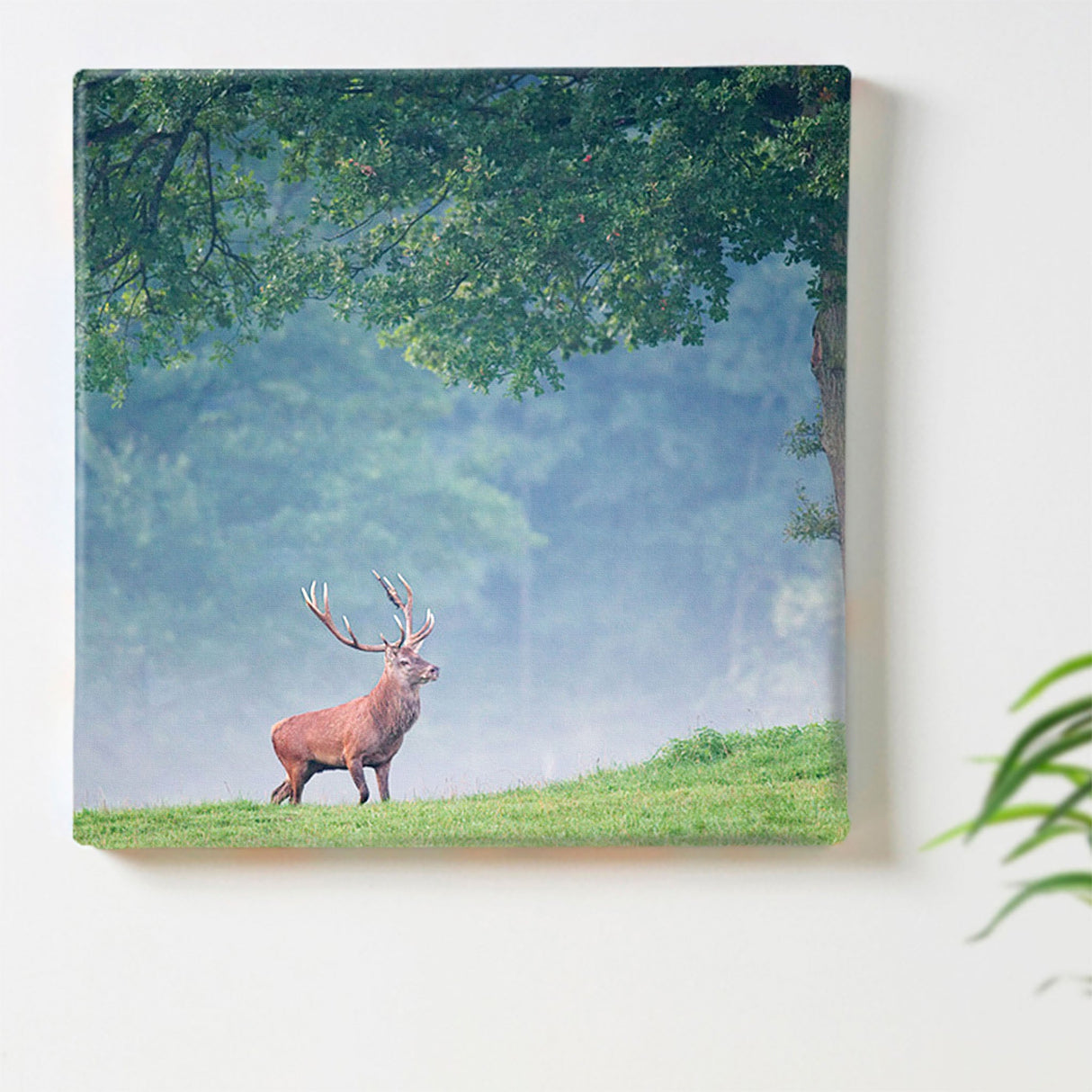 Deer motif interior accessories Living alone Interior pho-0070