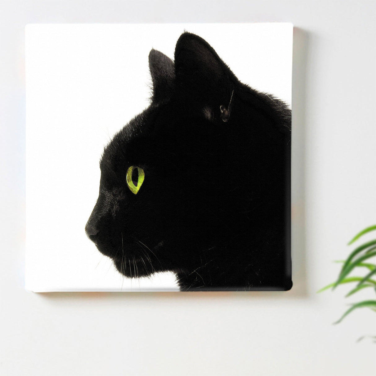 Black cat art board, accessories, interior