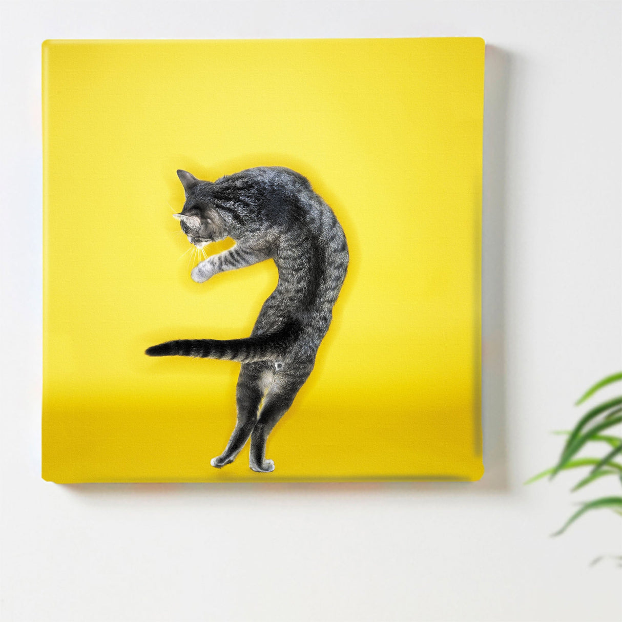 Cat art panel, accessories, interior