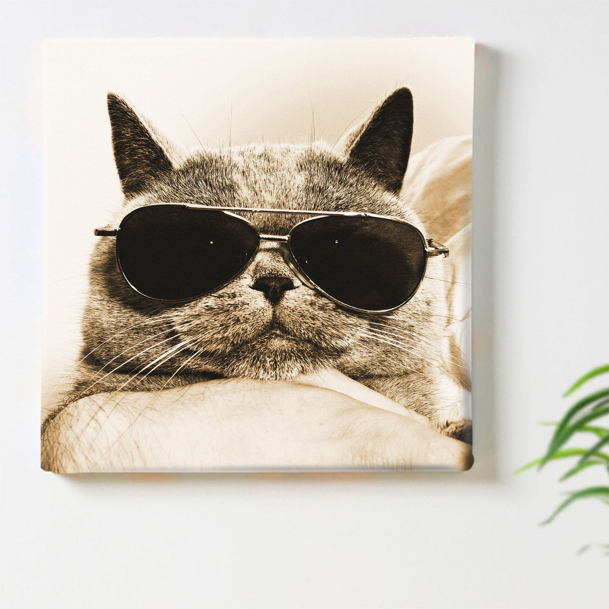 Cat wall decorations, miscellaneous goods, art