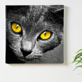 Cat interior accessories Fabric art