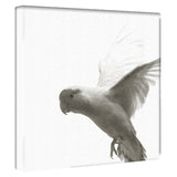 鳥のファブリックボード インテリア 雑貨 アート シンプルモダン  pho-0109