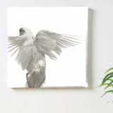 Bird art panel Interior goods Art Simple modern pho-0111