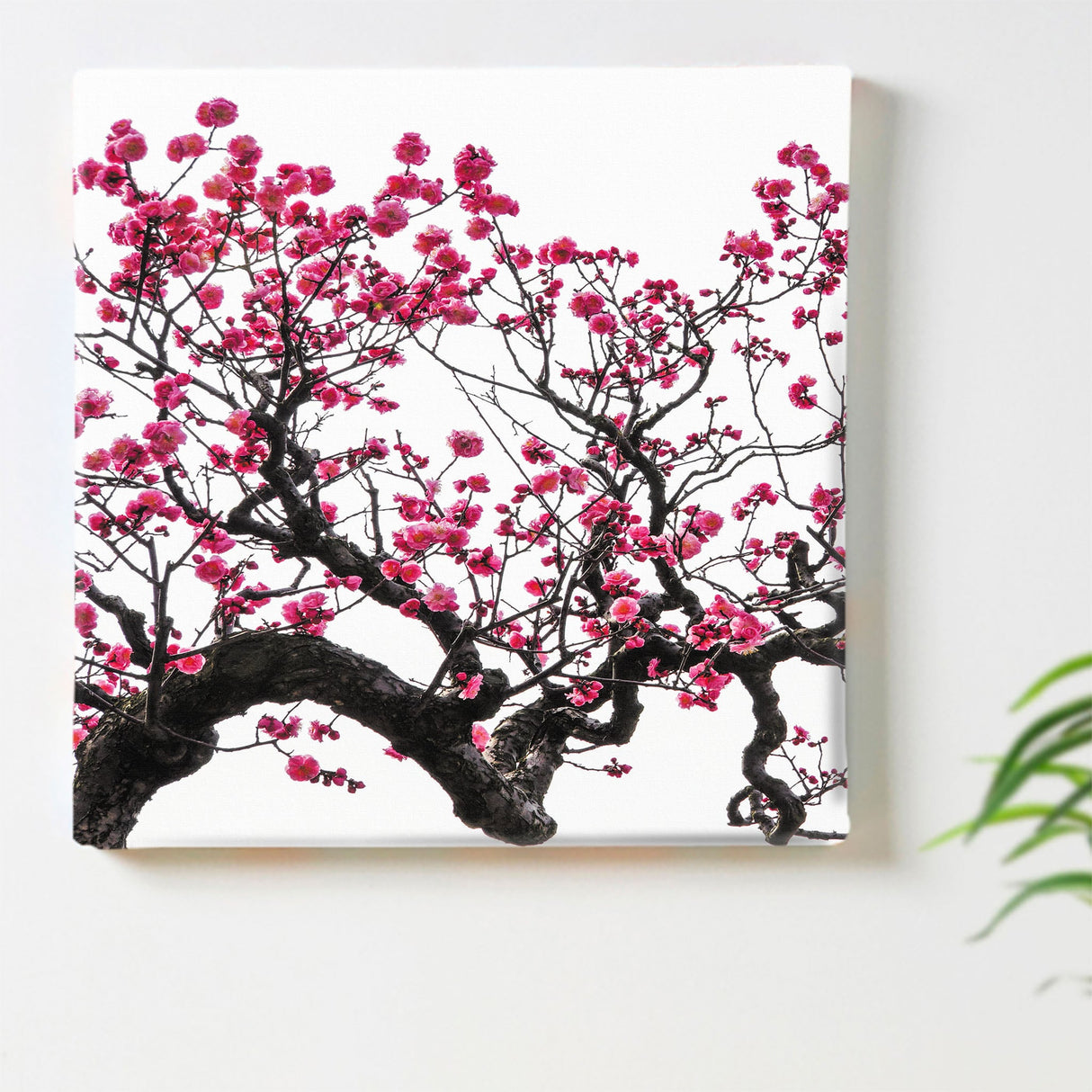 Plum fabric board Interior goods Art Photography Simple pho-1610-003