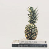 Pineapple fabric panel Interior goods Art panel Canvas poht-1805-13