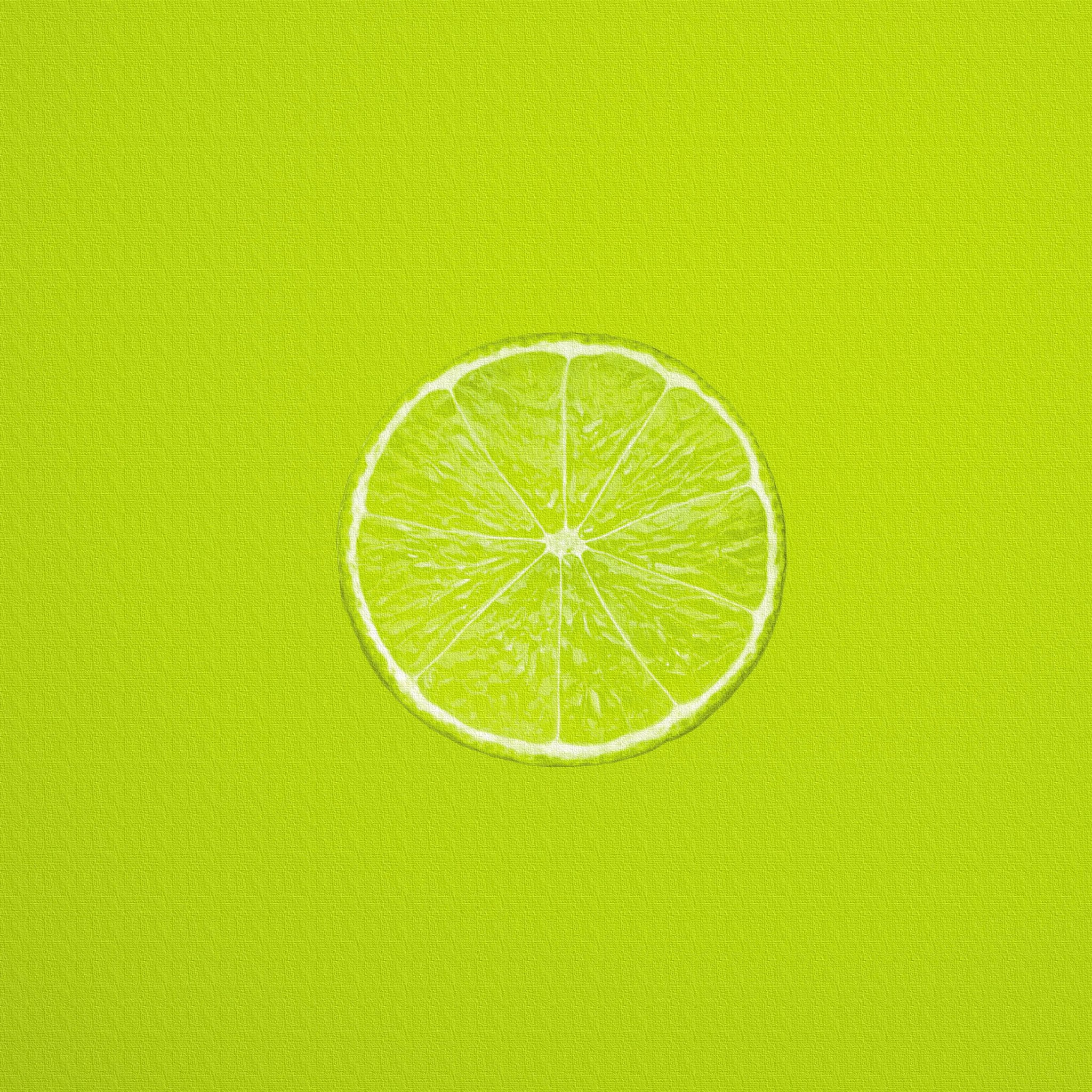 ライムの壁掛けアート インテリア雑貨 アートパネル キャンバス