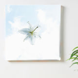 Flower Fabric Board Interior Goods Art Panel Canvas White poht-2205-12