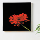 Flower Art Panel Interior Goods Art Panel Canvas Black poht-2205-17