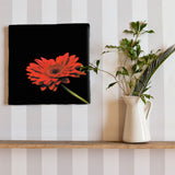 Flower Art Panel Interior Goods Art Panel Canvas Black poht-2205-17