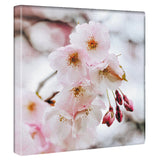 花のアートパネル インテリア雑貨 アートパネル キャンバス ピンク 桜 poht-2205-19