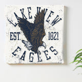 American Eagle Fabric Board Poster Art pop-0041