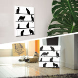 Black cat art board, accessories, interior