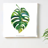 Wall decor with ornamental plants, interior goods, art, simple and modern, pop-0103