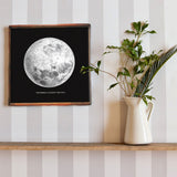 Moon Fabric Board Interior Goods Art Panel Canvas popa-1712-09-01