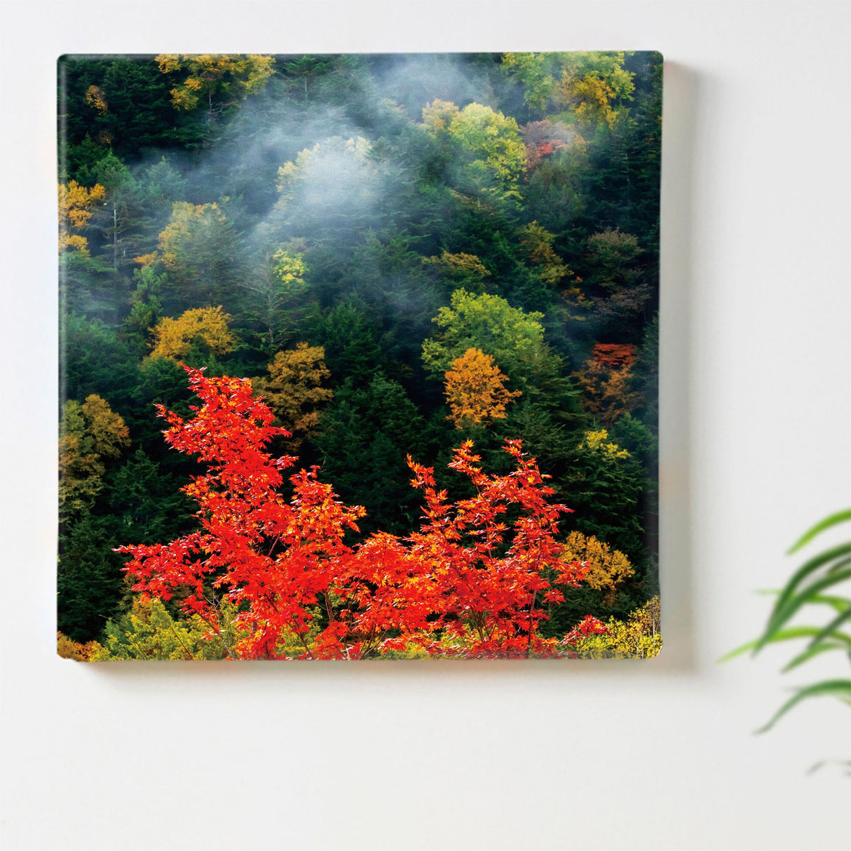 [Charity included] Wall art by Sennin Photographer Sakakibara Interior goods Gifu Prefecture The power of art Nature Autumn leaves skbr-0001