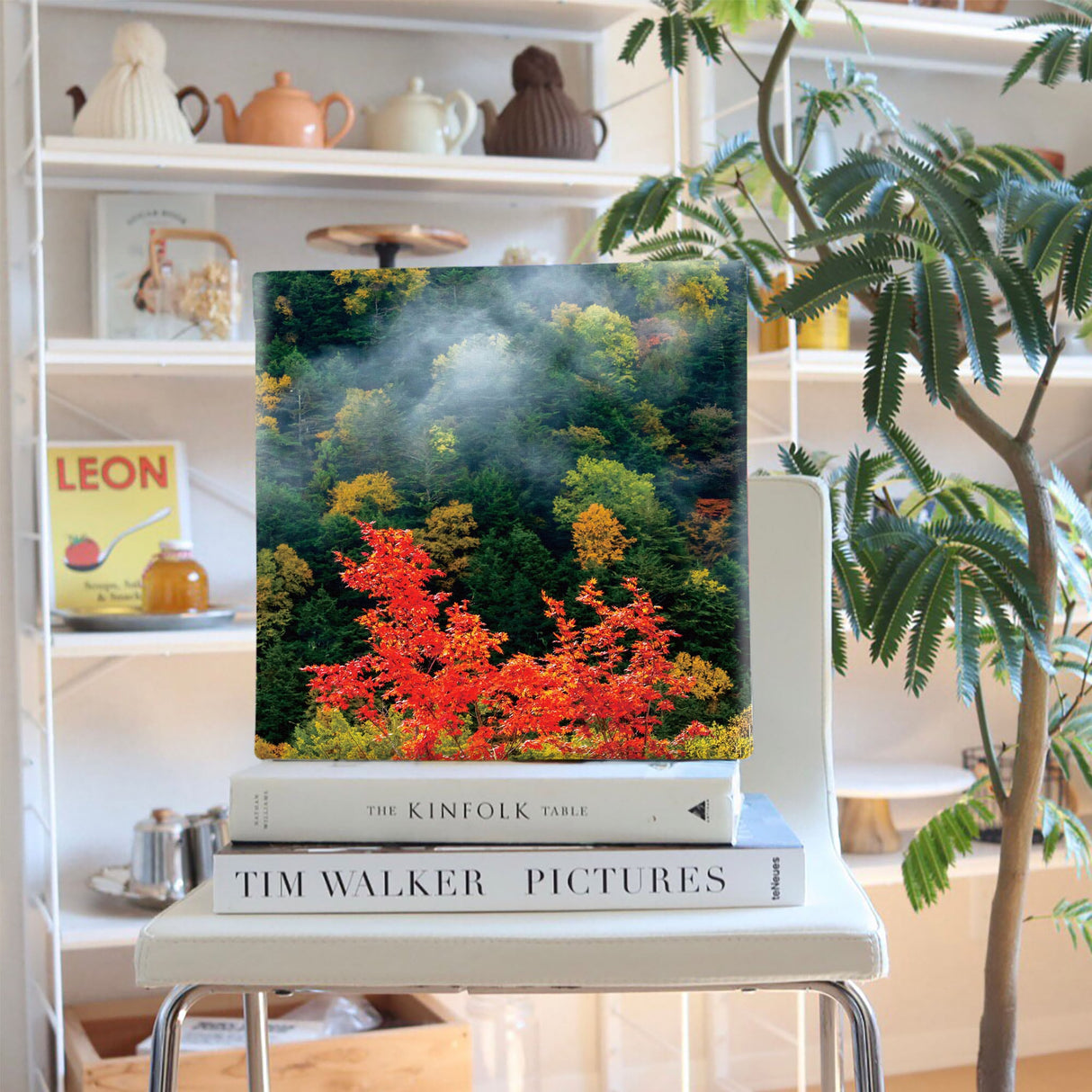 [Charity included] Wall art by Sennin Photographer Sakakibara Interior goods Gifu Prefecture The power of art Nature Autumn leaves skbr-0001