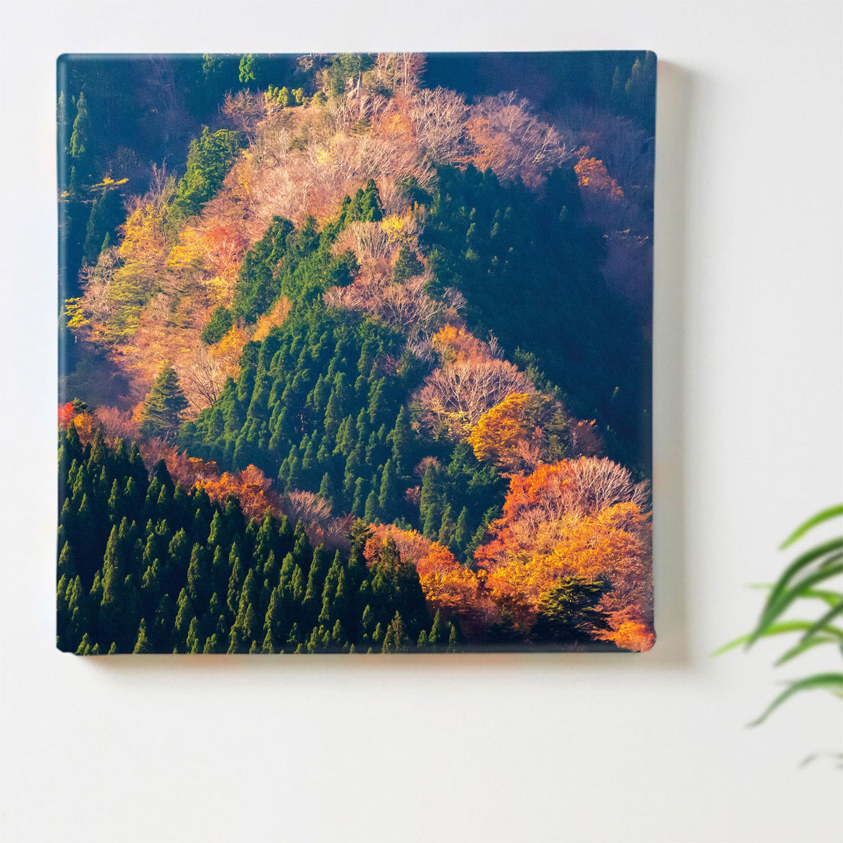 [Charity included] Fabric panel by hermit photographer Sakakibara Interior goods Nara Prefecture Power of art Nature Autumn leaves skbr-0003