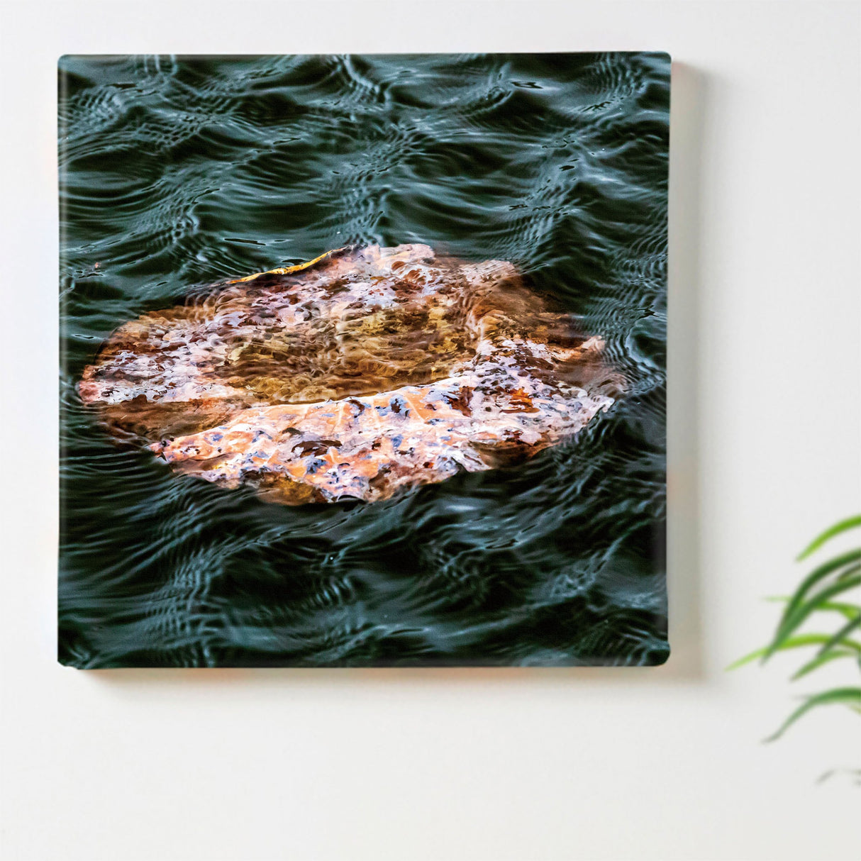 [Charity included] Wall decor by the hermit photographer Sakakibara Interior goods Shiga Prefecture The power of art Nature Fallen leaves skbr-0004