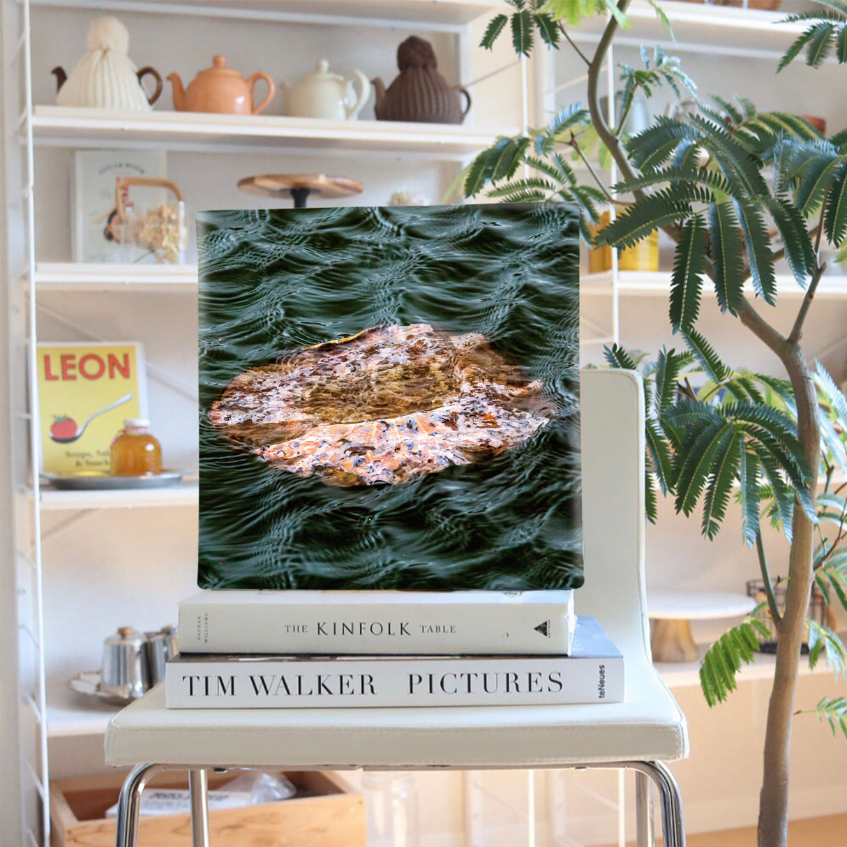 [Charity included] Wall decor by the hermit photographer Sakakibara Interior goods Shiga Prefecture The power of art Nature Fallen leaves skbr-0004