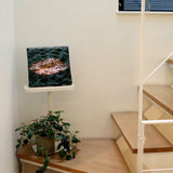 [Charity included] Wall decor by the hermit photographer Sakakibara Interior goods Shiga Prefecture The power of art Nature Fallen leaves skbr-0004