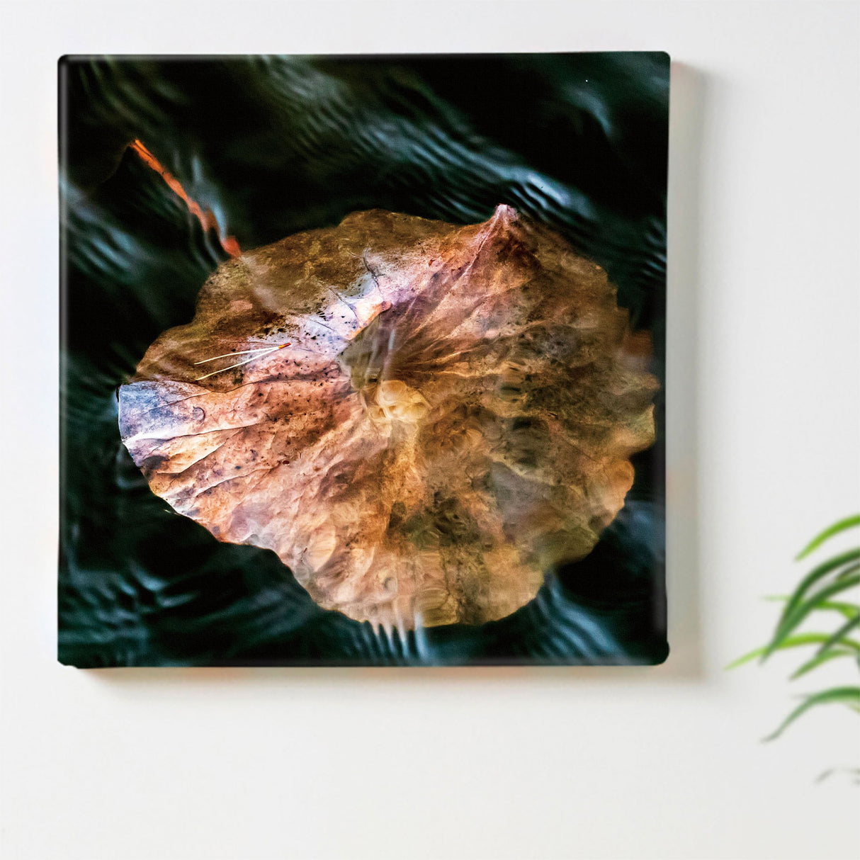 [With Charity] Fabric Panel by Sennin Photographer Sakakibara Interior Goods Shiga Prefecture Power of Art Nature Fallen Leaves skbr-0005