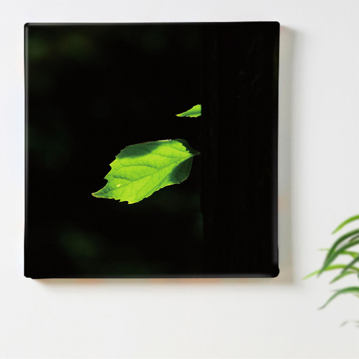 [Charity included] Wall art by Sennin Photographer Sakakibara Interior goods Gifu Prefecture The power of art Nature Fallen leaves skbr-0008