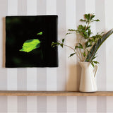 [Charity included] Wall art by Sennin Photographer Sakakibara Interior goods Gifu Prefecture The power of art Nature Fallen leaves skbr-0008