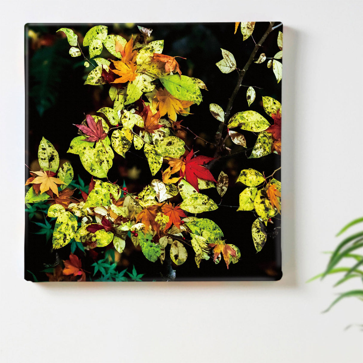 [Charity included] Art panel by the hermit photographer Sakakibara Interior goods Gifu Prefecture The power of art Nature Fallen leaves skbr-0011