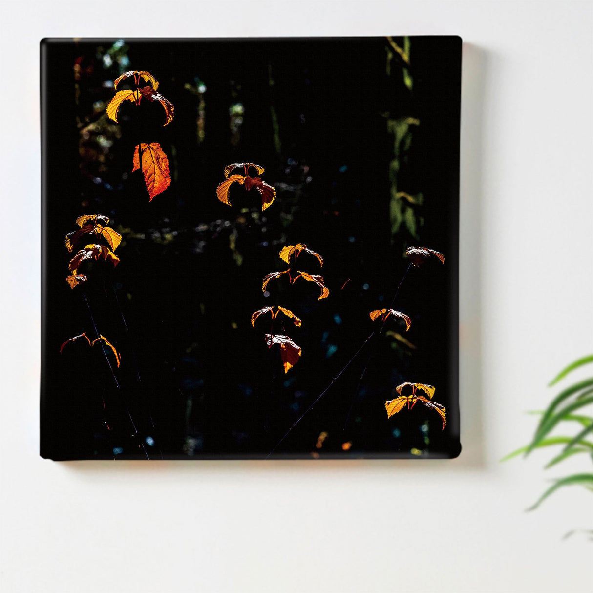 [Charity included] Fabric board by Sennin photographer Sakakibara Interior goods Nagano Prefecture Power of art Nature Autumn leaves skbr-0017