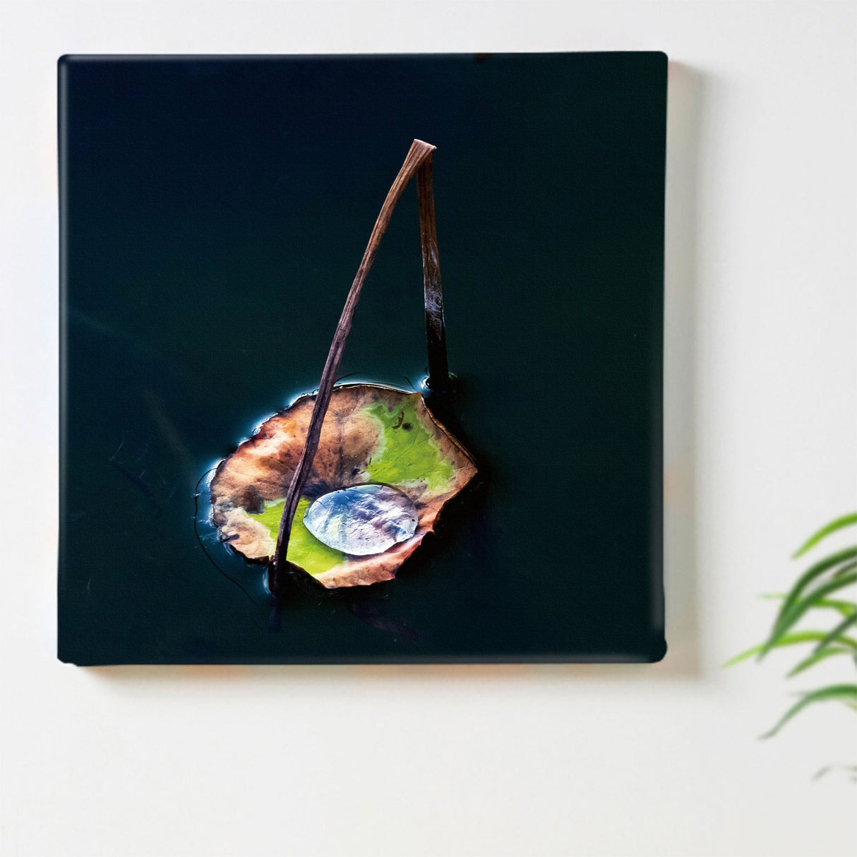 [Charity included] Art panel by the hermit photographer Sakakibara Interior goods Nagano Prefecture The power of art Nature Fallen leaves skbr-0019