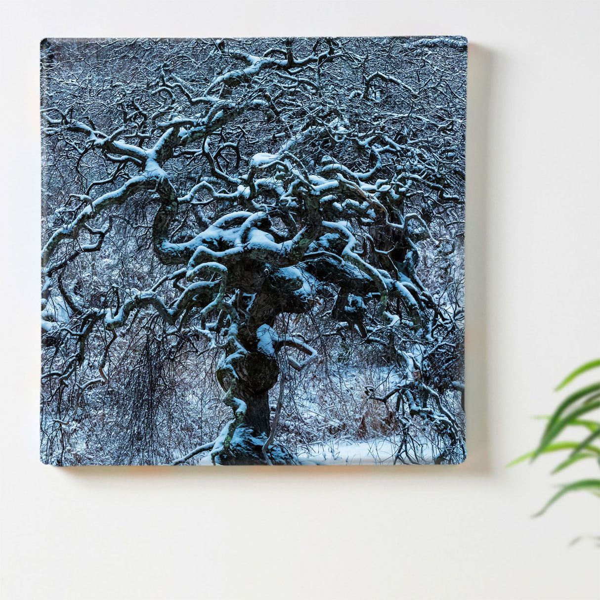 [With Charity] Wall Art by Sennin Photographer Sakakibara Interior Goods Nagano Prefecture The Power of Art Nature Winter skbr-0020