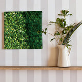 [Charity included] Wall art by Sennin Photographer Sakakibara Interior goods Fukui Prefecture Power of Art Nature Flowers skbr-0028