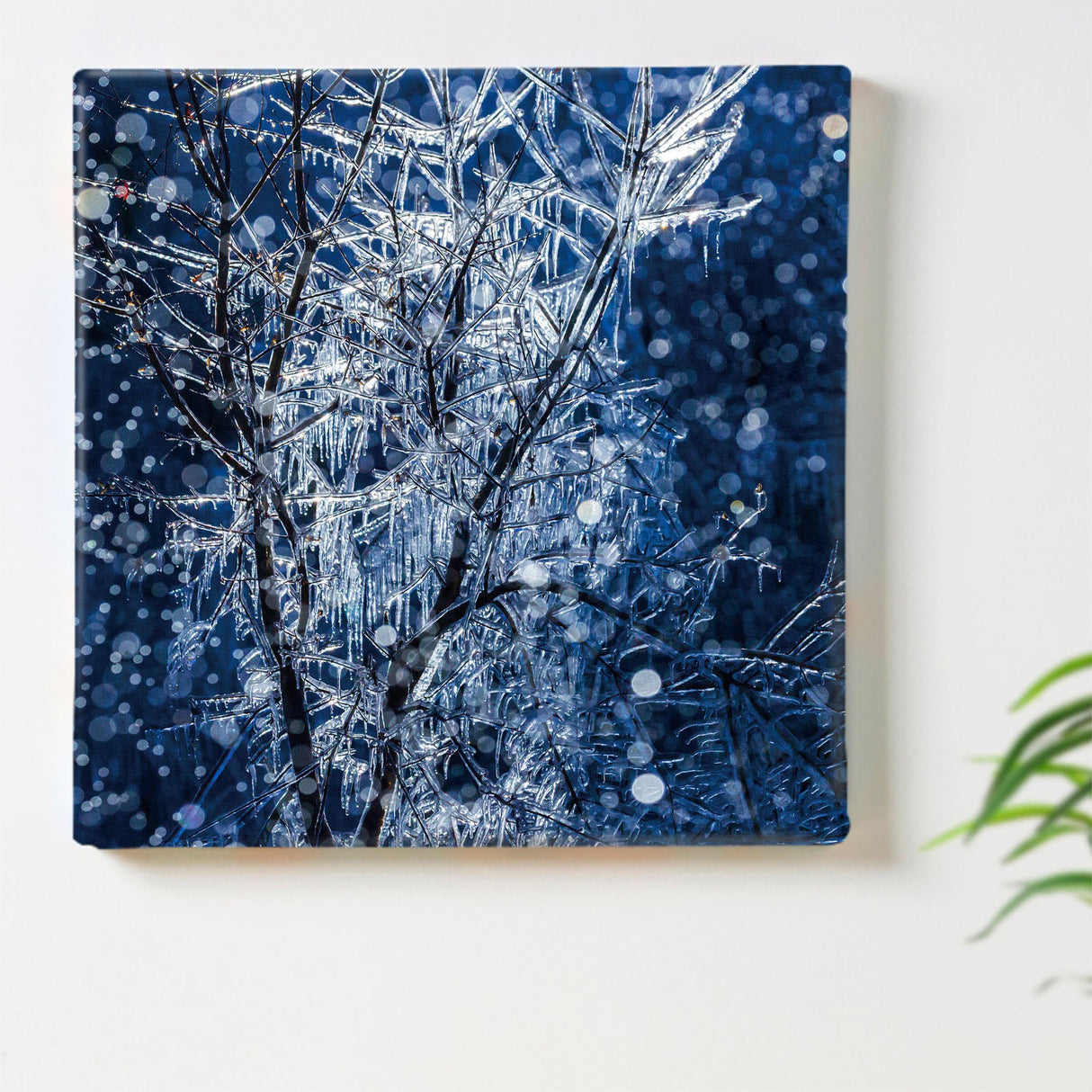 [With Charity] Art Panel by Sennin Photographer Sakakibara Interior Goods Gifu Prefecture Power of Art Nature Rain and Ice skbr-0035