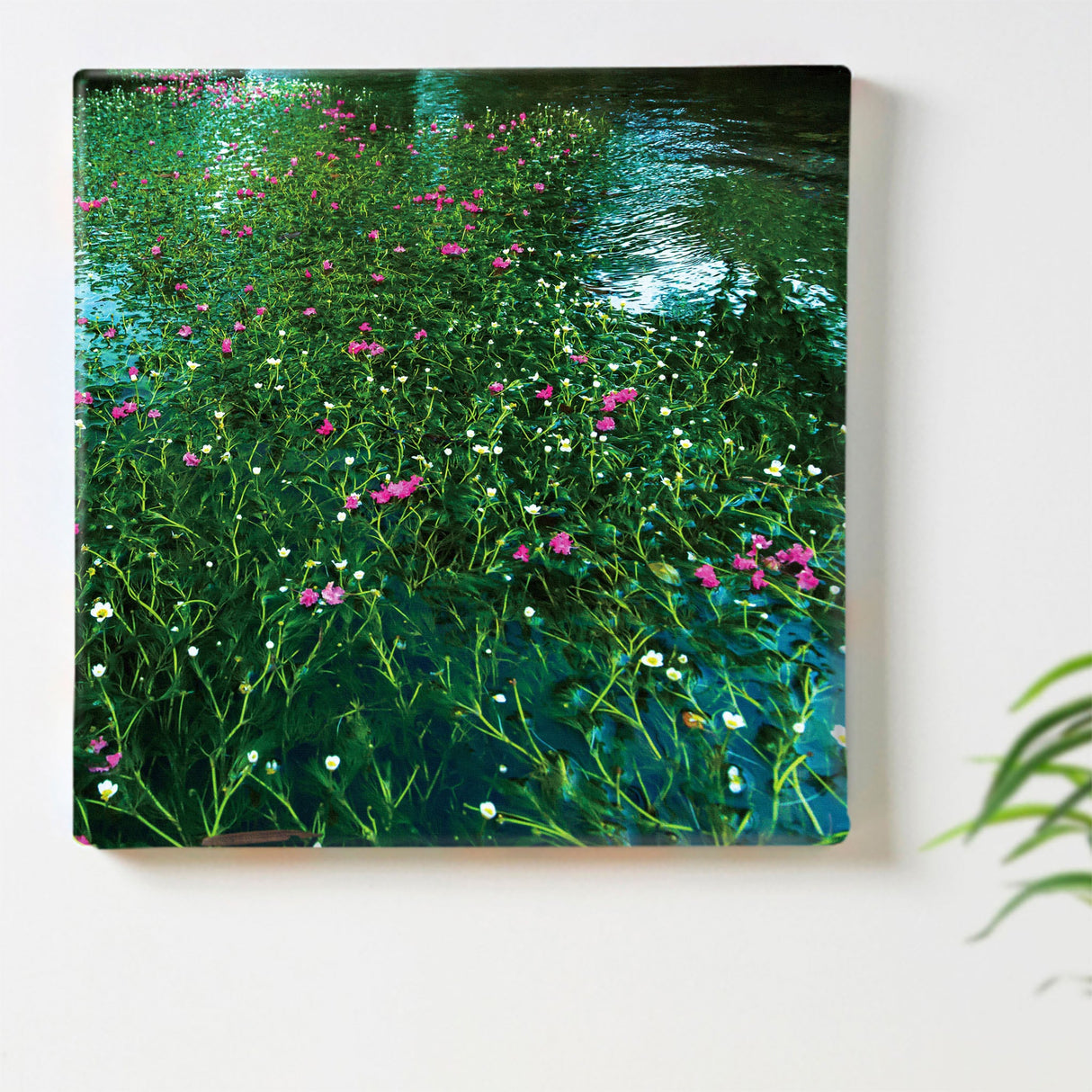 [Charity included] Wall art by Sennin Photographer Sakakibara Interior goods Shiga Prefecture The power of art Nature Flowers skbr-0036