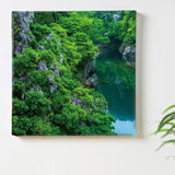 [With Charity] Fabric Board by Sennin Photographer Sakakibara Interior Goods Gifu Prefecture Power of Art Nature Green skbr-0038